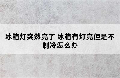 冰箱灯突然亮了 冰箱有灯亮但是不制冷怎么办